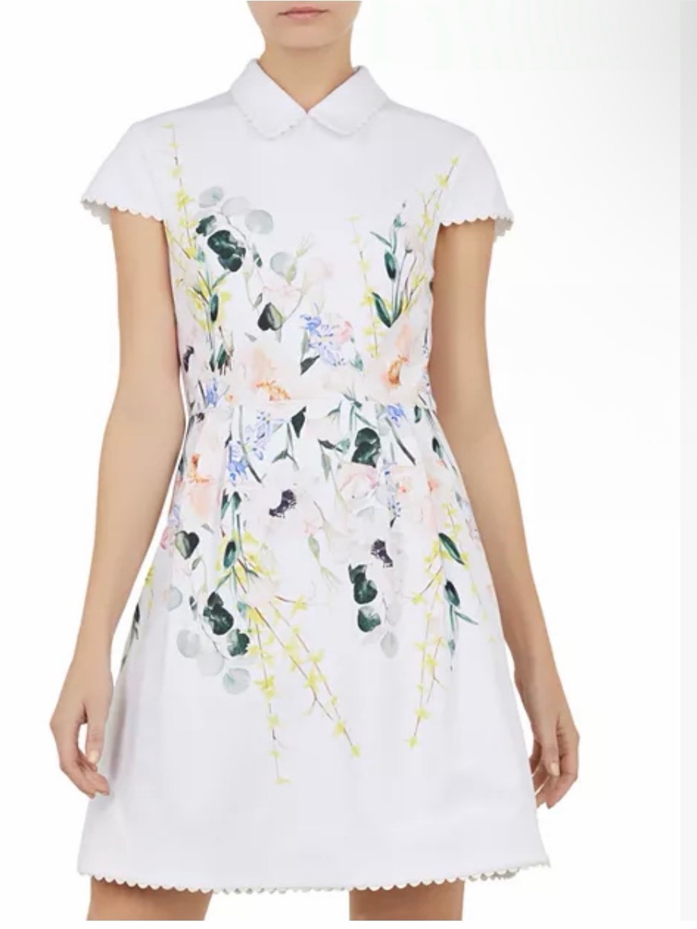 Ted Baker London White Floral Peter-Collar Fit & Flare Dress with Pastel Blooms